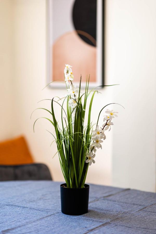 Central On Hapalmach- 3-Bdr Apartment Иерусалим Экстерьер фото